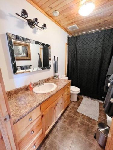 a bathroom with a sink and a shower at Morning Lane Cottage in Mill Village