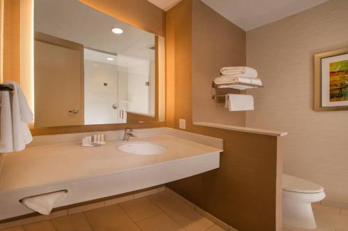 a bathroom with a sink and a mirror and a toilet at Fairfield Inn & Suites by Marriott Altoona in Altoona