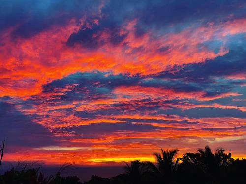 a sunset with palm trees in the foreground at Gingerhill Farm Retreat in Kealakekua