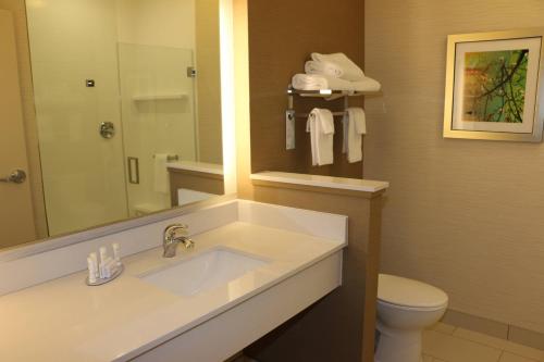 a bathroom with a sink and a toilet and a mirror at Fairfield Inn & Suites by Marriott Bowling Green in Bowling Green