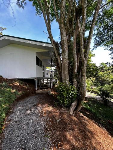 Sloth Villas – Photos 2