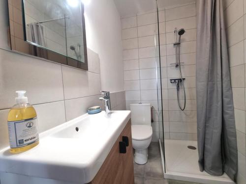 ein Bad mit einem Waschbecken, einer Dusche und einem WC in der Unterkunft Appartement Saint-Genest-Lerpt, 3 pièces, 4 personnes - FR-1-496-287 in Saint-Genest-Lerpt