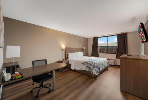 a hotel room with a bed and a desk at Red Roof Inn Painted Post in Painted Post