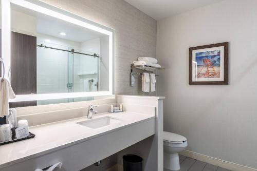 een badkamer met een wastafel, een spiegel en een toilet bij Fairfield Inn & Suites by Marriott St. Joseph Stevensville in Stevensville