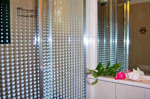 Loutrópolis Thermís的住宿－Melina Apartment，浴室设有淋浴,在柜台上摆放着粉红色的鲜花