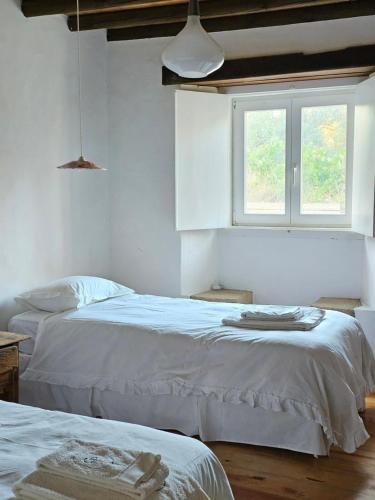 two beds in a white room with a window at THE OLIVE PRESS - Alentejo in Castelo de Vide