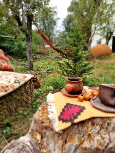 Zahrada ubytování Hooni_guesthouse