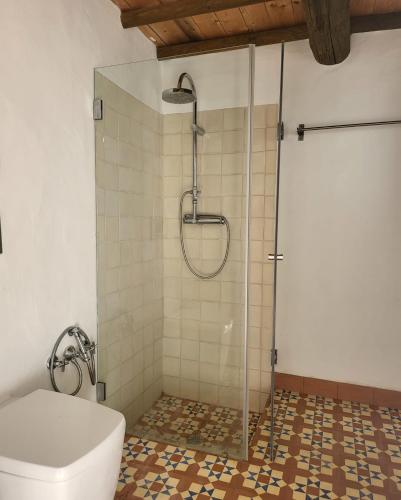 a shower stall in a bathroom with a toilet at THE OLIVE PRESS - Alentejo in Castelo de Vide