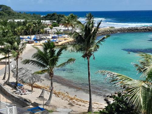 a view of a beach with palm trees and the ocean at Studio COEUR PASSION VUE MER charme et standing in Saint-François