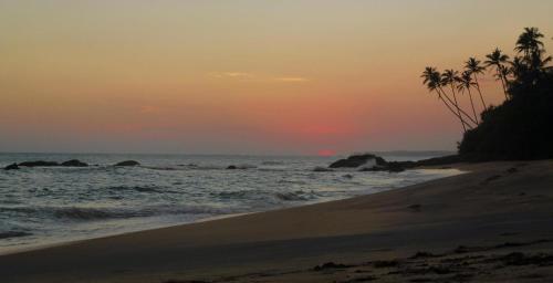 a beach with palm trees and the ocean at sunset at Seasons Four Mini Jungle Cabana in Matara