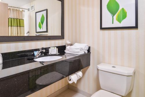 a bathroom with a sink and a toilet and a mirror at Fairfield Inn Corning Riverside in Corning