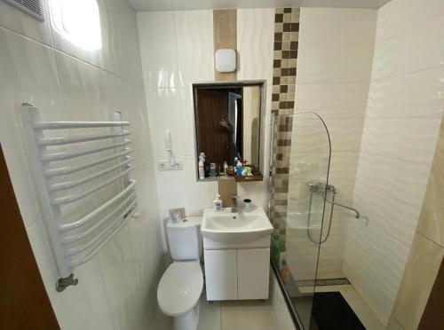 y baño con aseo, lavabo y ducha. en Стильна квартира студія у центрі міста, en Lutsk