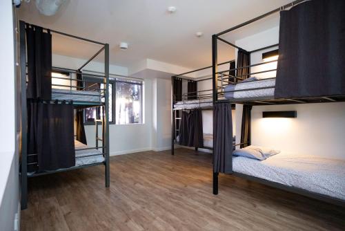 a room with four bunk beds in it at YHA Byron Bay in Byron Bay