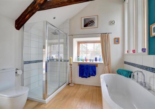 a bathroom with a tub and a glass shower at Felin Fach in Pumpsaint