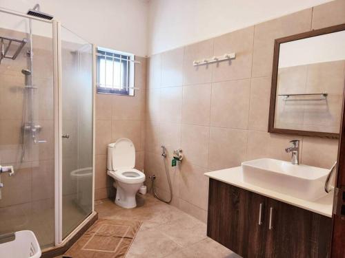 een badkamer met een toilet, een wastafel en een douche bij La Maison d'Isa in Albion