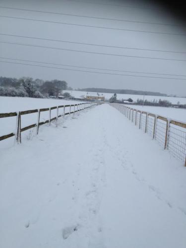 Old Gloucester Road farm bed and breakfast photo 22