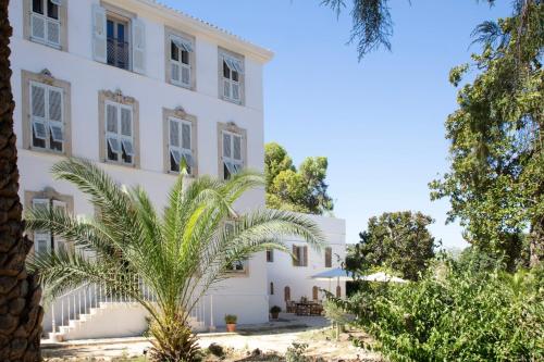 a large white building with a palm tree in front of it at La Bâtisse en Blanc in Golfe-Juan