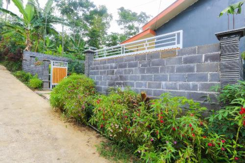 Senduro的住宿－Bali Ciliek Homestay，蓝色的房子,有挡墙和一些植物