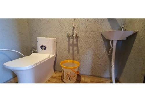 een badkamer met een toilet en een wastafel bij The Legian 4 BHK in Ooty