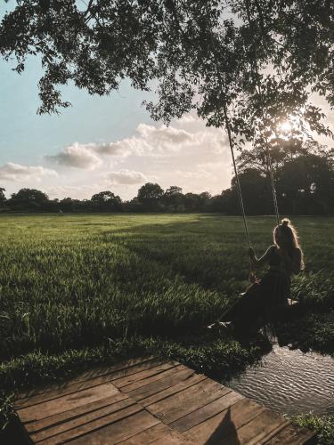 a woman sitting on a swing under a tree in a field at Wilpattu Tree House in Wilpattu