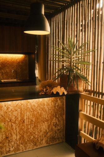 a counter with a potted plant on top of it at U're Holitel in Haad Rin