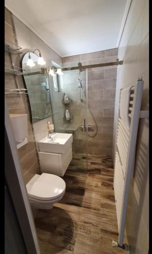 a bathroom with a toilet and a sink and a shower at Regim hotelier Alba Iulia AmOS in Alba Iulia