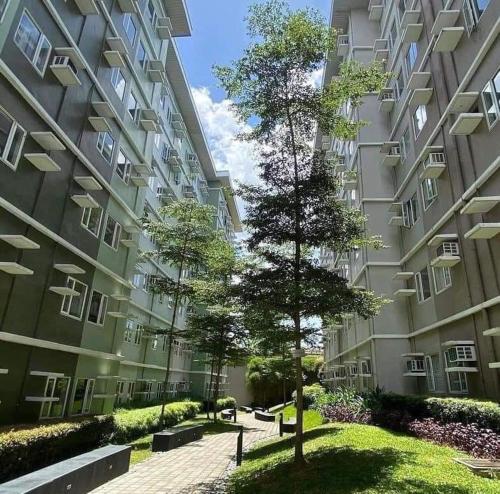 Red Maple Staycation @ Trees Residences