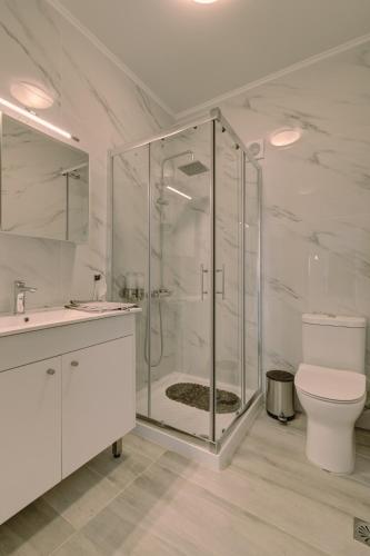 a bathroom with a shower and a toilet and a sink at Ouzo Stone House 2 with private pool in Plomari