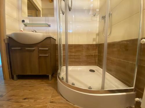 a bathroom with a shower and a sink at Zajazd Tadeo in Pietrzykowice