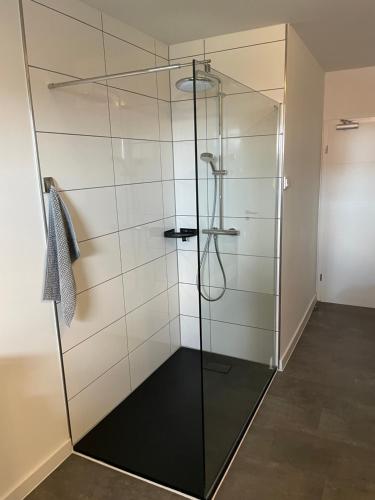 une douche avec une porte vitrée dans une salle de bain dans l'établissement MR Ferienwohnung - Einzelzimmer Frieda, à Schellerten