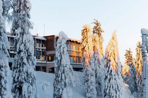 a group of trees covered in snow in front of a building at Break Sokos Hotel Koli in Kolinkylä