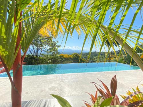 a view of a swimming pool through some palm trees at Casa Libertinn in Manuel Antonio