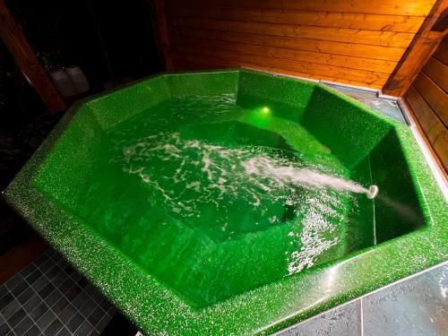 a green pool of water with a shark in it at Filargo Apartmans - Cazare Sovata in Sovata