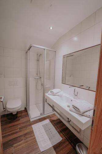 a bathroom with a shower and a sink and a toilet at Frühstückspension Friedheim in Filzmoos