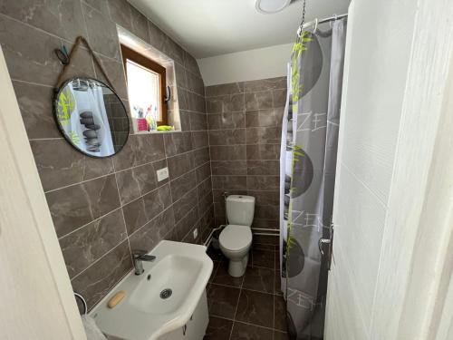 a bathroom with a sink and a toilet and a mirror at Žabljak- FamilyOasis in Žabljak