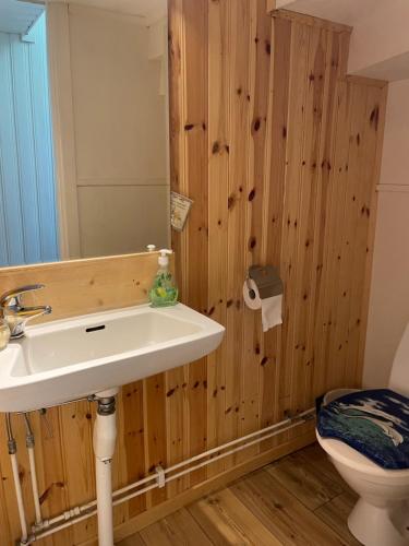 La salle de bains est pourvue d'un lavabo et de toilettes. dans l'établissement Torp ved Mårbacka (Helt hus til leie) Östra Ämtervik/ Sunne, à Östra Ämtervik