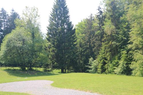 a large grassy field with trees in the background at Chalet au cœur des bois in Larringes