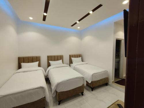 Postel nebo postele na pokoji v ubytování Mussa Spring Hotel