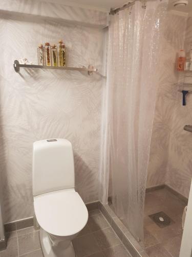 a bathroom with a white toilet and a shower at Apartments "Ecohouse" nearby Håverud Dalsland Sweden in Åsensbruk