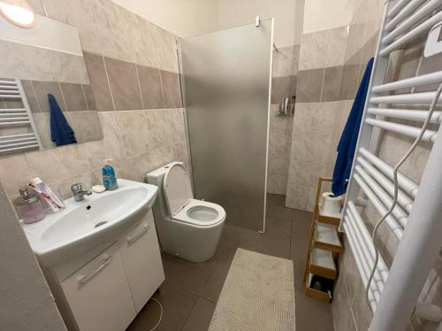 La salle de bains est pourvue de toilettes, d'un lavabo et d'une douche. dans l'établissement Rodinný dům Mikulov, à Mikulov