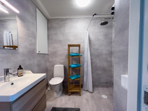 uma casa de banho com um lavatório, um chuveiro e um WC. em Långträsk Apartments Villa em Långträsk