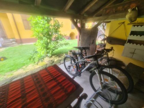 a couple of bikes parked next to a tree at Șura din Seleuș - Seleuș Barn - Idyllic Countryside M Museum House in Sighişoara