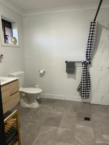 ein Bad mit einem WC und einem Duschvorhang in der Unterkunft Clermont Guest House - Pet friendly in Clermont