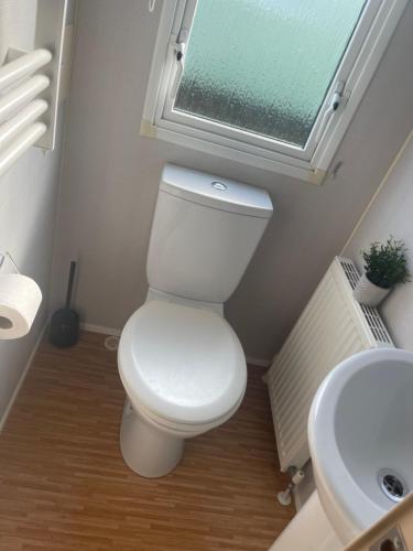 a bathroom with a white toilet and a sink at Bird Lake Pastures 53 in Northampton