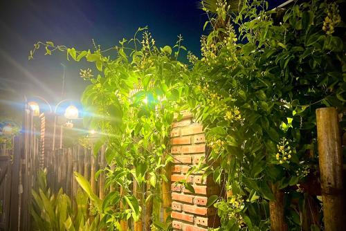 Κήπος έξω από το Bến Đò Xưa Homestay & Coffee