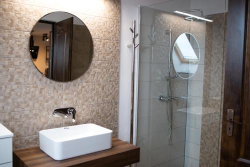 uma casa de banho com um lavatório, um espelho e um chuveiro em The Home Sweet Home Studio Apartment em Gheorgheni