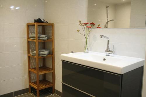 a bathroom with a sink and a shelf with towels at It Bûthús in Baaiduinen