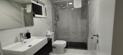 W łazience znajduje się prysznic, umywalka i toaleta. w obiekcie Refúgio da Chiquinha w mieście Vieira do Minho