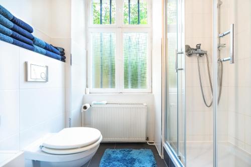 a bathroom with a toilet and a shower and a window at 2-Room Apartment near Messe and Lietzensee in Berlin