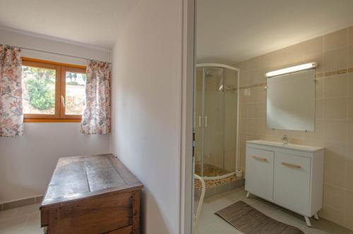 a bathroom with a sink and a shower and a mirror at Le gite de la cea in Saint-Mards-en-Othe